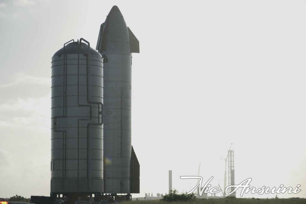 starship 20 moved to launch pad